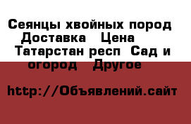 Сеянцы хвойных пород. Доставка › Цена ­ 1 - Татарстан респ. Сад и огород » Другое   